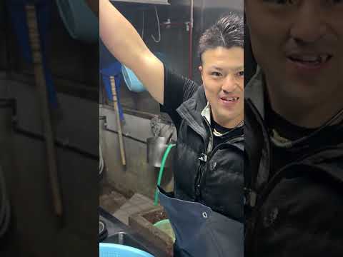 Soba Master’s INSANE Performance Attracts Huge Lines!