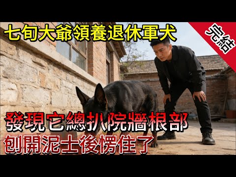 血脈尋跡:退役軍犬的祖輩密碼 高雄市旗山鎮的一個老舊院落裏,七十一歲的馬守義獨自生活了三年。這位脾氣出了名溫和的老人,自從老伴過世後,日子就像院裏的老井水,平靜得毫無波瀾。#小說 #老年故事