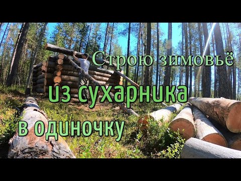 DIY Log House: Logging Basics #3