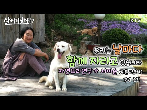 (강원 춘천) 산비탈 콩밭을 정원으로 만든 자연요리연구가의 밥상 정원??!! ktv, cooking, garden, restaurant (시즌4)