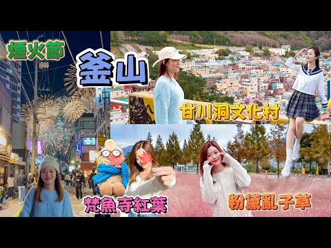 【韓國釜山】 國際煙火節🎆攻略|景點懶人包|🏆豬肉湯飯|甘川洞文化村|靚景cafe📸 |梵魚寺🍁紅葉|粉黛亂子草公園|南浦洞高質🏨酒店|必食🐷五花腩/烤腸 #釜山自由行 #BUSAN #煙火節