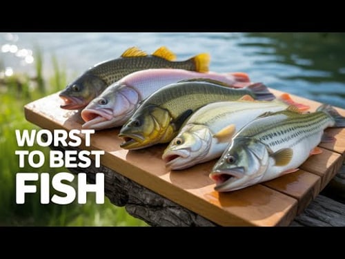 Best and Worst Freshwater Fish Revealed