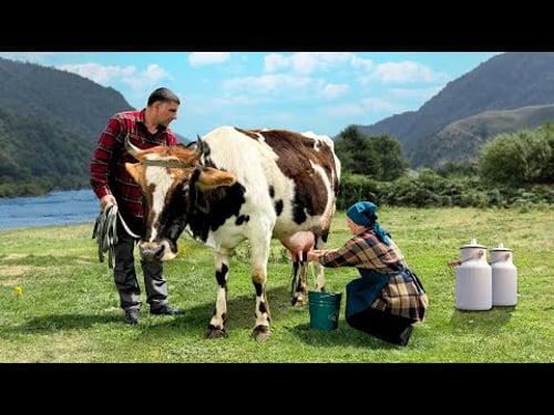 Faraway Village Vibes: Whipping Up Delicious, Rustic Dishes 🐄