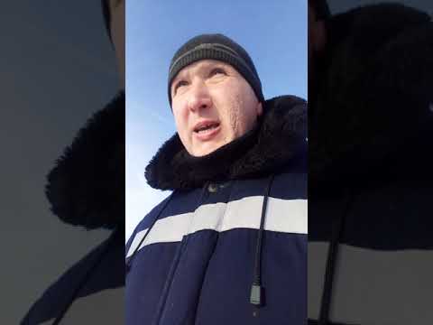 АЛАБАЙ!!! Как выбрать ЩЕНКА Среднеазиатской овчарки.