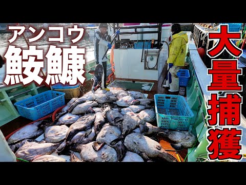 Japanese monster fish hunter