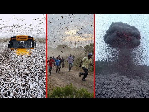 Нечто Странное Происходит По Всему Миру