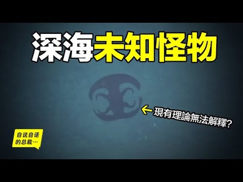 深海:無法解釋的動物『隱身』,飛碟姿態?紅色隱身?為什麼變透明是最愚蠢的戰術?從0米到10000米,潛入深淵最底層,人類,原來根本不懂深海……|自說自話的總裁
