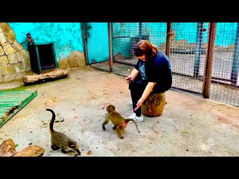 Я в ШОКЕ! Маняша узнала маму, но не подошла к ней, а стала кружить вокруг!!!