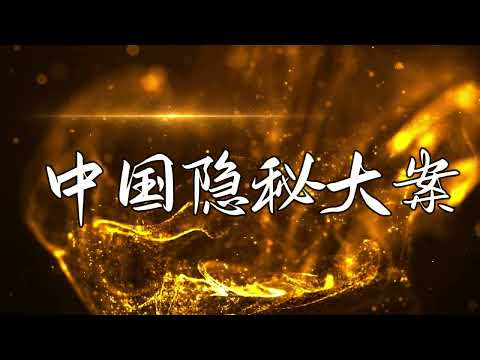 中国刑侦大案纪实录,他曾是北京副市长,频繁出入高档场所
