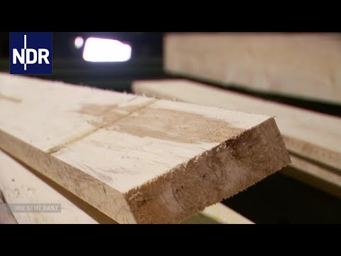 Holzverarbeitung: Vom Baum zum Brett | Wie geht das? | NDR