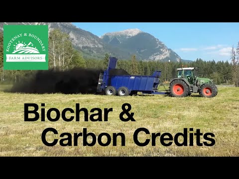 Biochar and Carbon Credits