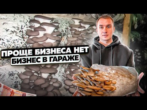 Как выращивать грибы вешенки. Бизнес на грибах. Бизнес в гараже