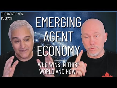 Emerging Agent Economy: Opportunities and Challenges