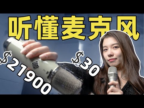 你能听出30美元和20000美元麦克风的区别吗?| 器材专业性能测评 | LIKEMUSIC王也