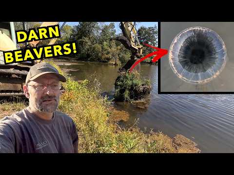 Beavers Dammed Up My Pond! Unclogging & Building A New Trash Rack. Hydroelectric part 3.