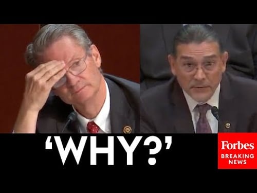 'Are Illegal Immigrants Counted In The U.S. Census?': Tim Burchett Grills Census Director