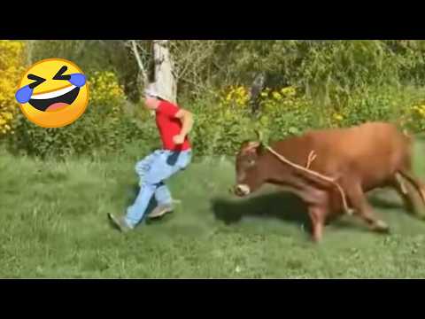 TRY NOT TO LAUGH π Best Funny Videos Compilation πππ Memes PART 260