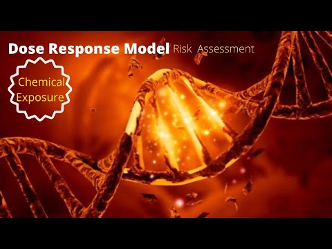 🧬⚗️🧪Chemical Exposure Risk Assessment With Dose response Model |WHS | Dose response Model explained
