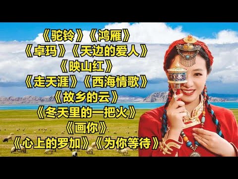 好听.驼铃..鸿雁.卓玛..天边的爱人..映山红..走天涯.