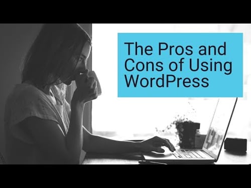 The Pros and Cons of WordPress for your Website or Landing Page