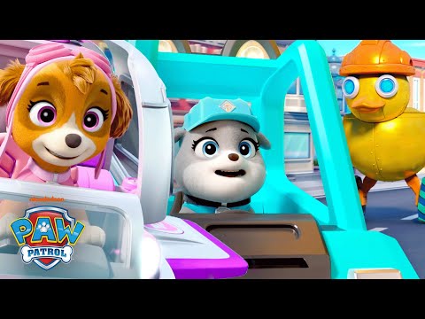 PAW Patrol Skye & Motor Rescue Robots in Adventure Bay! | Shimmer and Shine