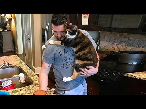 When Your Cat Steals Your Husband 😂