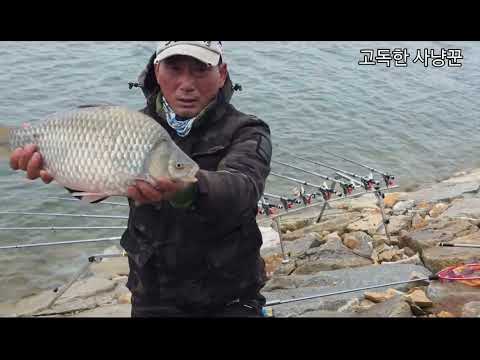 대물 붕어낚시