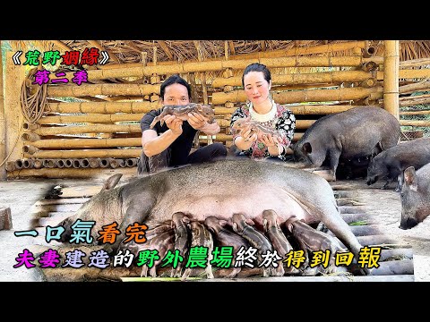 一口氣看完,夫妻建造的野外農場終於得到回報《荒野姻緣》第二季(05-08)