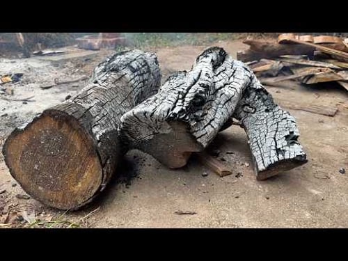 He Rescued This Half-Burned Log... The Result Is BEYOND Words! 🪵🔥