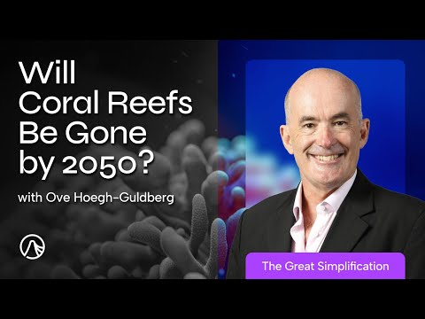 How Bleaching, Acidification, and Ocean Heating are Killing Coral Reefs with Ove Hoegh-Guldberg