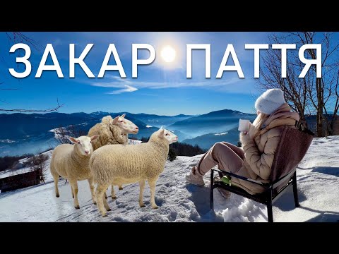 ЗАКАРПАТТЯ взимку. Місця без туристів. ПАКУЄМО ВАЛІЗИ.