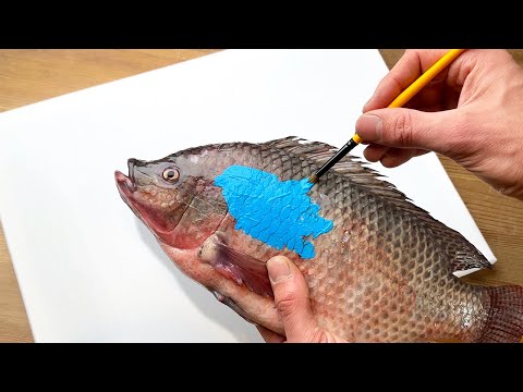 Can I Make Art Using a Fish?