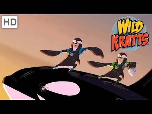 Wild Kratts - Showcasing Beautiful Animals #1 | Videos For Kids