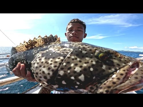 Idol Niño Jackpot sa Giant Grouper!