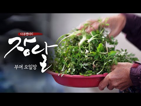 부여 오일장 | 정이 오가는 전통시장, 서민들의 삶터 충남 부여오일장 | 다큐멘터리 장날 | 대전MBC