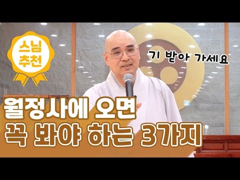 스님 추천👍 명당 맛집 월정사의 3가지 핵심 포인트✔ (희귀사진 공개) | 템플스테이 7월 여름수련회 법문 | 자현스님