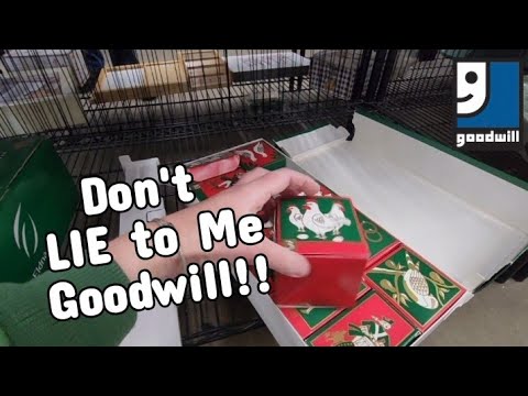 Don't Lie to Me Goodwill!! - Shop Along With Me - Goodwill Thrift Store