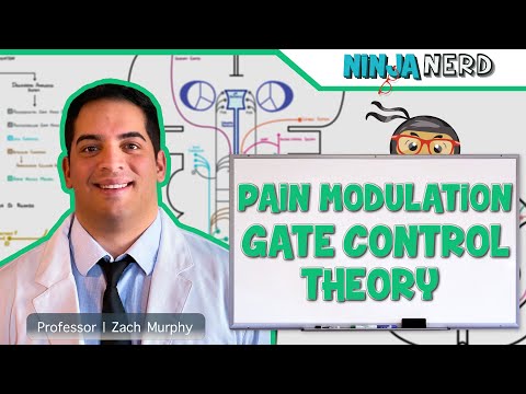 Ascending Tracts | Pain Modulation: Gate Control Theory