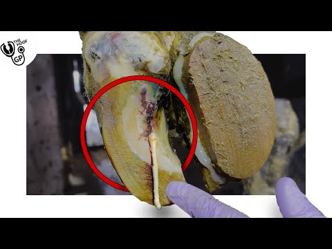 this was a SHOCK and a RELIEF!!!