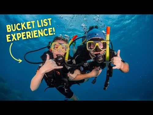 FINALLY Visiting the GREAT BARRIER REEF!! (What to Expect on a Day Trip from Cairns) - Queensland