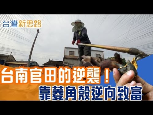 5000 噸垃圾的絕地大反攻!台灣把農廢做成高價機能紗,下一個兆元產業就在田野間 台灣農廢再生技術超震撼,能減少碳排還能做電池│主播 苑曉琬│【台灣新思路】20260121│三立iNEWS