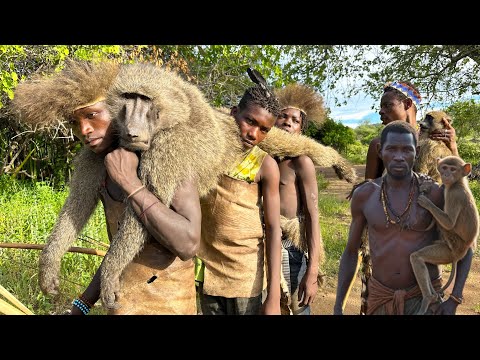 Discover Hadzabe Tribe Baboon Monkey Hunt | baboon eating tribe