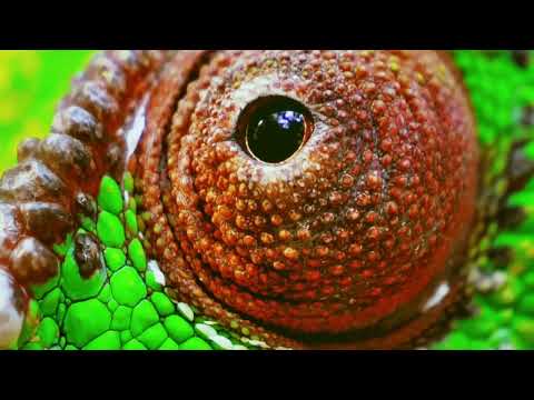 Are UST Projectors Worth The Hype? Ultra Short Throw Projector in 2023