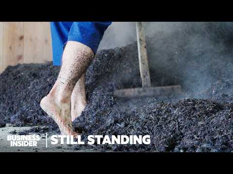 How Japan's 800-Year-Old Indigo Dyeing Process Is Still Standing | Still Standing | Business Insider