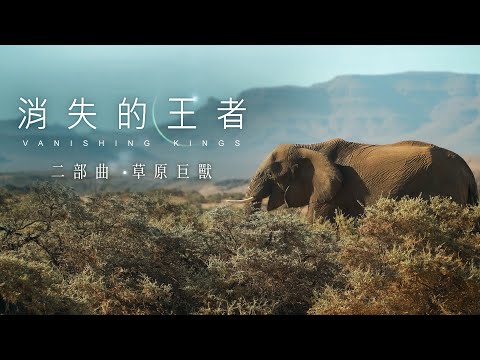 賀!舒夢蘭《消失的王者》勇奪第55屆金鐘獎 消失的王者-二部曲:草原巨獸《聚焦全世界》第45期|舒夢蘭Vanishing Kings II- Titans of the Savanna