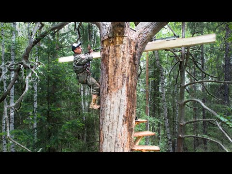 I am BUILDING a Safe Shelter in a tree for COMFORTABLE survival. A huge TREE HOUSE
