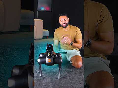 I bought a robot dog