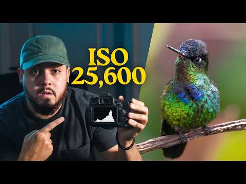 El ISO no causa RUIDO en tus Fotos y hay una SOLUCIÓN ✨📸