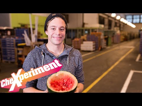 Ohne Klinge schneiden?! | CheXperiment mit Checker Tobi | Die Entdeckershow