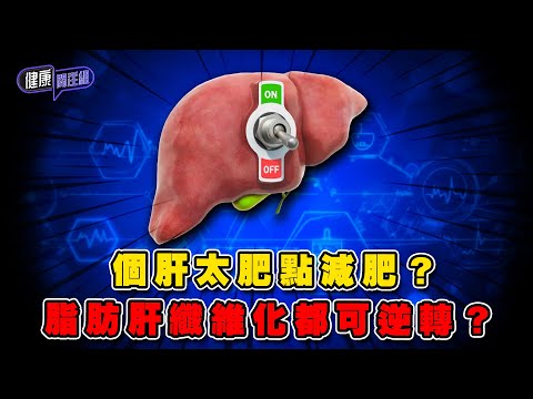個肝太肥點減肥?脂肪肝纖維化都可逆轉?| 健康關注組 | EP342 | 脂肪肝 | 肝纖維化 | 肝硬化 | 敖嘉年 | 朱智賢 | HOY TV 77台